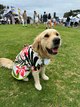 Load image into Gallery viewer, Swim &amp; Bath Robe