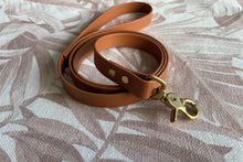 Load image into Gallery viewer, Brass Biothane Lead