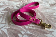 Load image into Gallery viewer, Brass Biothane Lead