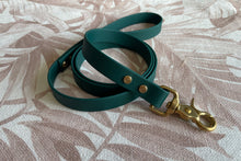 Load image into Gallery viewer, Brass Biothane Lead