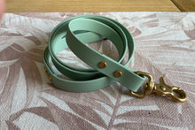 Load image into Gallery viewer, Brass Biothane Lead