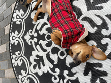Load image into Gallery viewer, Whats Under the Kilt Dog Coat