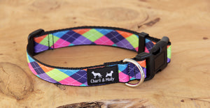 Collegiate Dog Collar