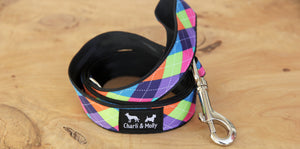 Collegiate Dog Lead