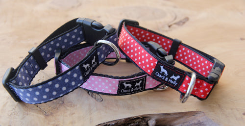 Mini Spots Dog Collar