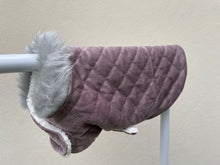 Load image into Gallery viewer, Champagne Delight Velvet Dog Coat