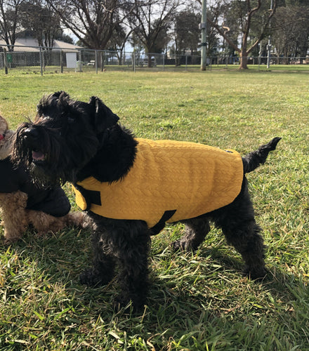 Mustard Cable Knit Dog Coat