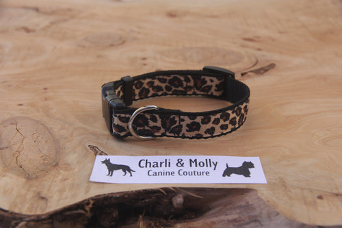 Mini Leopard Dog Collar