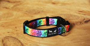 Rainbow Drops Dog Collar