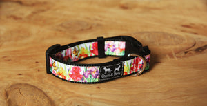 Floriade Dog Collar