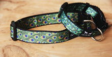Load image into Gallery viewer, Peacock Dog Collar