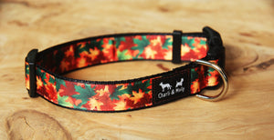 Autumn Leaves Dog Collar