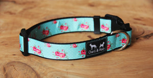 Aqua Roses Dog Collar