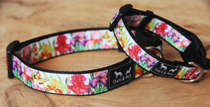 Floriade Dog Collar