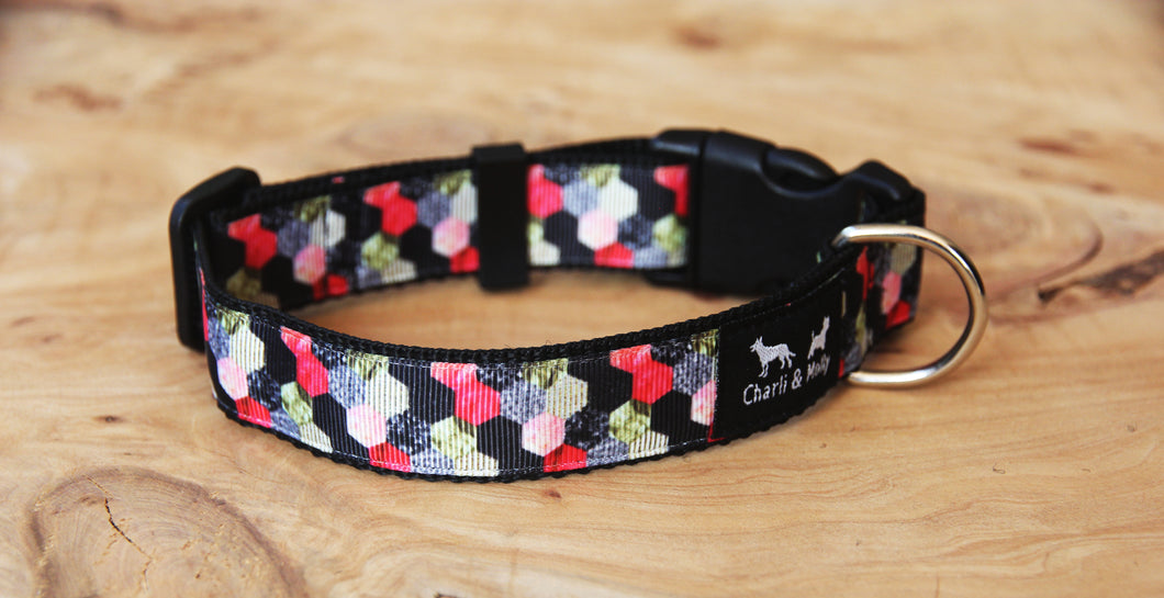 Night on the Town Dog Collar