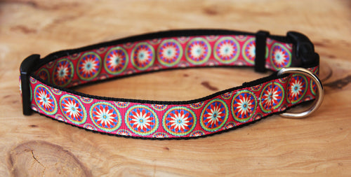 Monaco Dog Collar