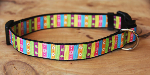 New Vertical Stripes Dog Collar