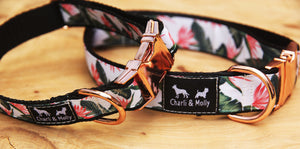 Bird of Paradise Premium Dog Collar