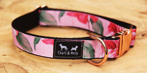 Pink Paradise Premium Dog Collar