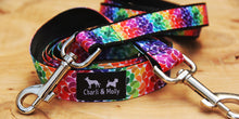 Load image into Gallery viewer, Rainbow Drops Dog Lead