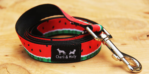 Red Watermelon Dog Lead