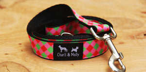 Red and Green Dream Dog Lead