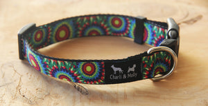 Tye Dye Dog Collar