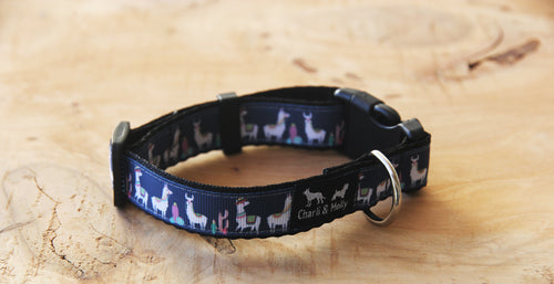 Llama Party Dog Collar