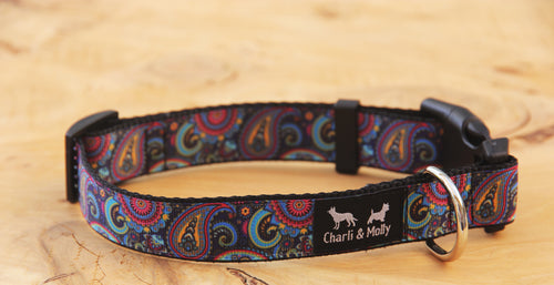 Paisley Perfection Dog Collar