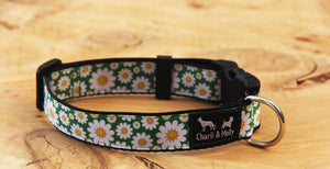 Daisy Meadow Dog Collar