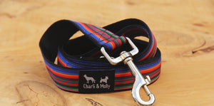 Paul's Stripes Dog Lead