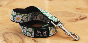 Daisy Meadow Dog Lead