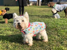 Load image into Gallery viewer, Molly Strawberry Fields Dog Coat