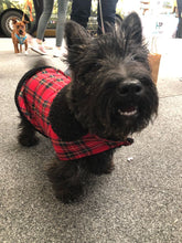 Load image into Gallery viewer, Whats Under the Kilt Dog Coat