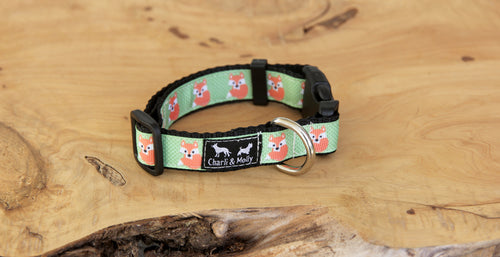 Foxy Loxy Dog Collar