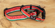 Load image into Gallery viewer, Red Watermelon Dog Collar