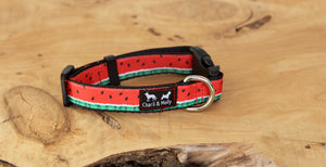 Red Watermelon Dog Collar