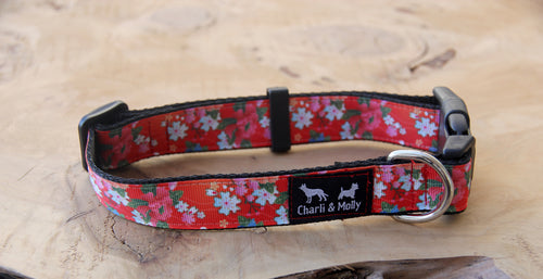 Spring Dreaming Dog Collar