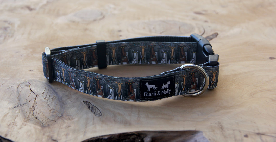Chewbacca and Friends Dog Collar