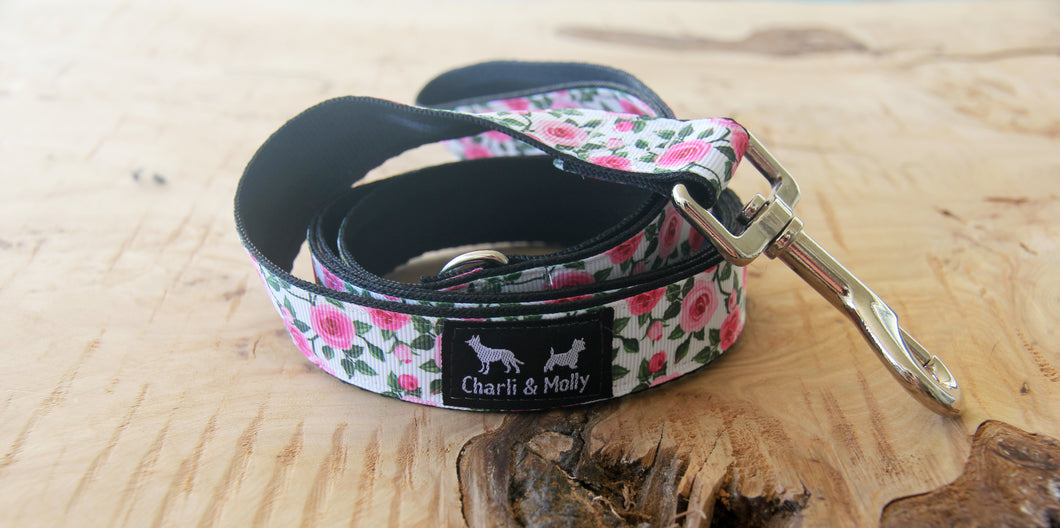 Pink Roses on White Dog Lead