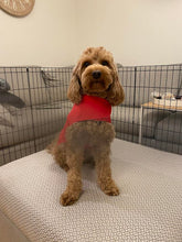 Load image into Gallery viewer, Ruby Red Wet Weather Dog Coat