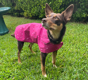 Wet Weather Dog Coat
