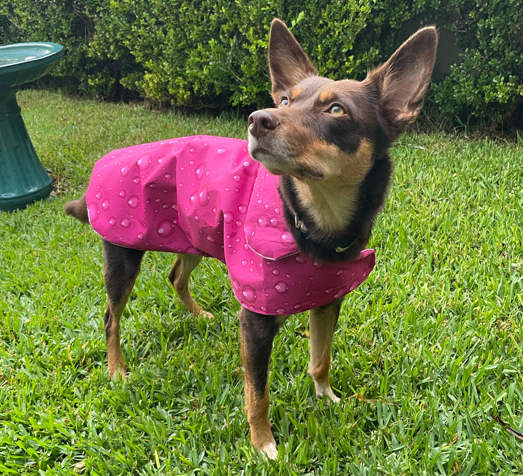 Wet Weather Dog Coat