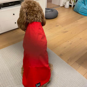 Ruby Red Wet Weather Dog Coat