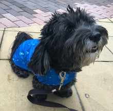 Load image into Gallery viewer, Wet Weather Dog Coat