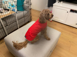 Ruby Red Wet Weather Dog Coat